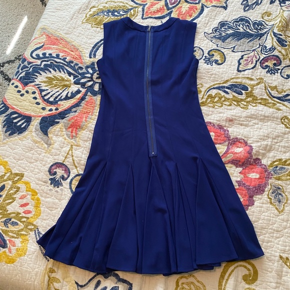 BCBGMAXAZRIA Drop Waist Dress | size 4 - Picture 3 of 4